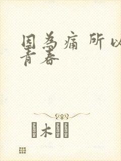 因为痛 所以叫青春