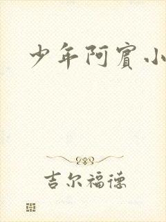 少年阿宾小说
