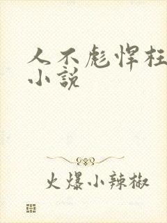 人不彪悍枉少年小说