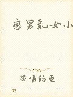恋男乱女小说
