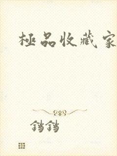 极品收藏家