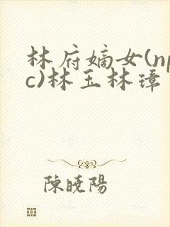 林府嫡女(npc)林玉林璋