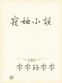 宠她小说