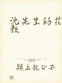 沈先生的花式管教