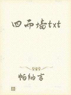 四面墙txt