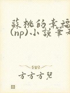 苏桃的幸福生活(np)小说笔趣阁沐沐