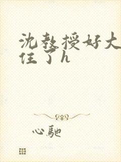 沈教授好大含不住了h
