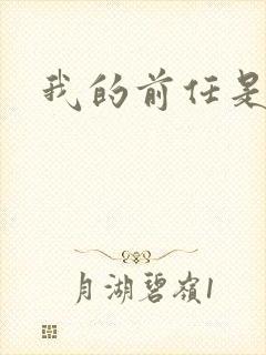 我的前任是极品