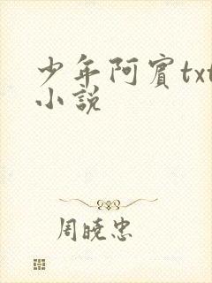少年阿宾txt小说