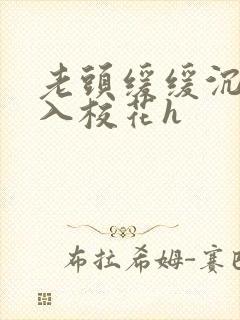 老头缓缓沉腰进入校花h