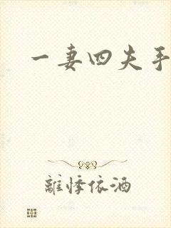 一妻四夫手记