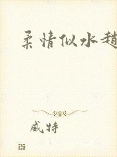 柔情似水赵雅儿