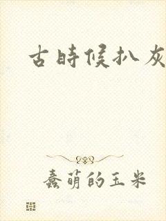 古时候扒灰小说