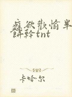 瘾欲欢愉半块小饼干tnt