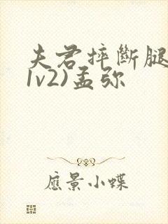 夫君摔断腿后(1v2)孟弥