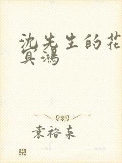 沈先生的花式调冥鸿