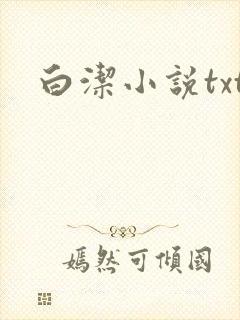 白洁小说txt