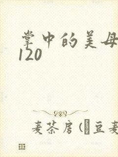 掌中的美母版主120
