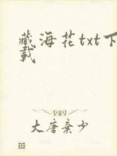 藏海花txt下载