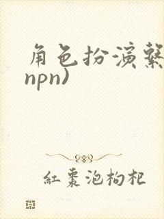 角色扮演系统(npn)