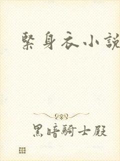 紧身衣小说