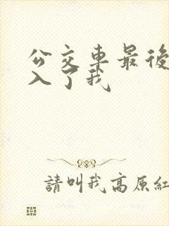 公交车最后一排入了我