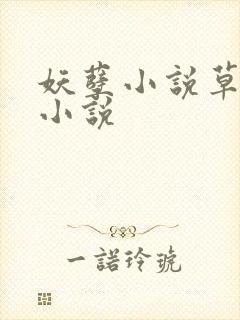 妖孽小说草莓酱小说