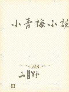 小青梅小说