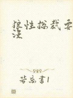 狼性总裁要够了没