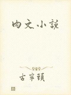 肉文小说