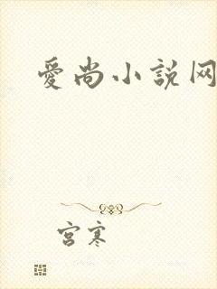 爱尚小说网