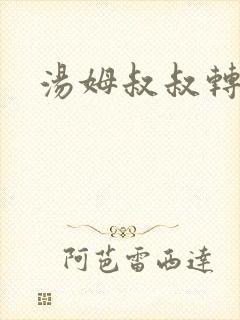 汤姆叔叔转接口