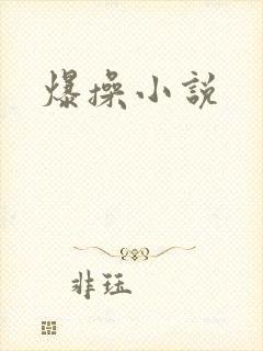 爆操小说