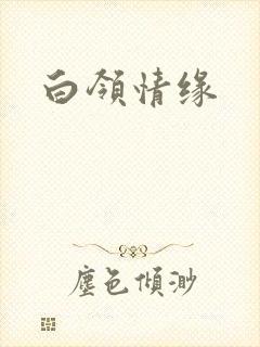 白领情缘