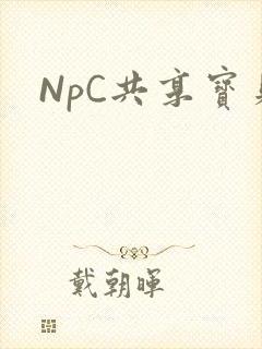NpC共享宝贝