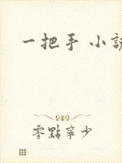 一把手 小说