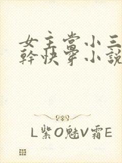 女主当小三的高干快穿小说禾火火