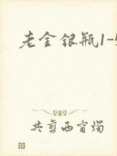老金银瓶1-5