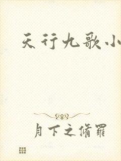 天行九歌小说