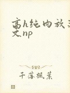 高h纯肉放荡h文np