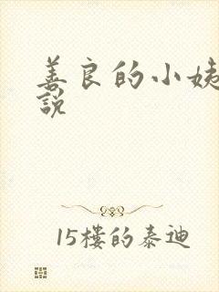 善良的小姨子小说