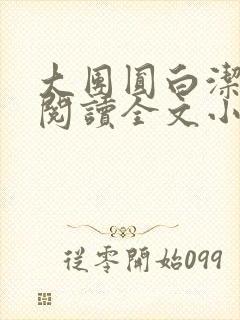 大团圆白洁免费阅读全文小说