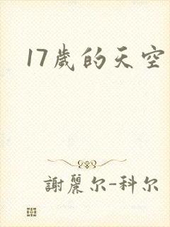 17岁的天空