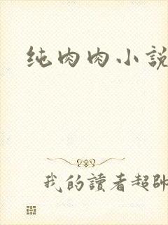 纯肉肉小说