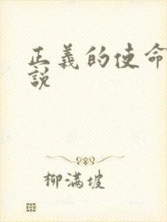 正义的使命 小说