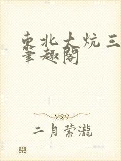 东北大炕三部曲笔趣阁