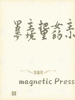 男主把女主拖进梦境里的小说