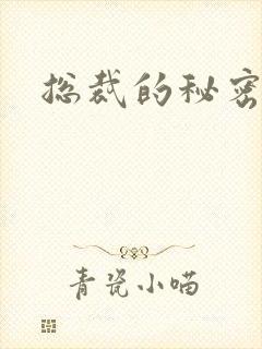 总裁的秘密情人