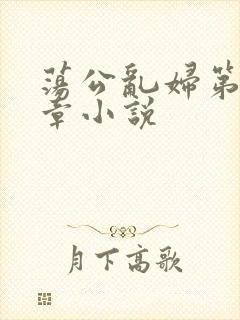 荡公乱妇第51章小说