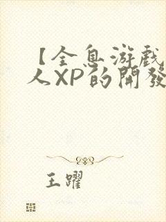 【全息游戏】美人XP的开发日常